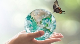 Timeline: La Gestión del Riesgo bajo un Enfoque Sostenible y de Derechos