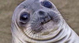 Timeline: Geokronoloogiline skaala Egon Ubina