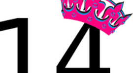 Timeline: 14 years of Amarea Roberts