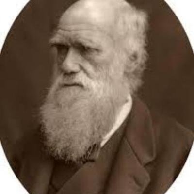 Timeline: Aportaciones de Darwin