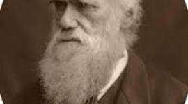 Timeline: Aportaciones de Darwin