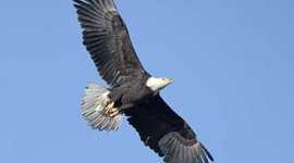 Timeline: 1301 TIMELINE PROJECT