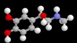 Timeline: enlaces quimicos