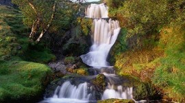 Timeline:  Evolución del Estado en Colombia