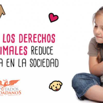 Timeline: BIENESTAR ANIMAL: CORRIENTES FILOSÓFICAS