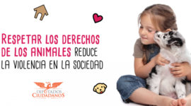 Timeline: BIENESTAR ANIMAL: CORRIENTES FILOSÓFICAS