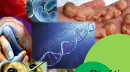 Timeline: Evolución histórica de la bioética en México