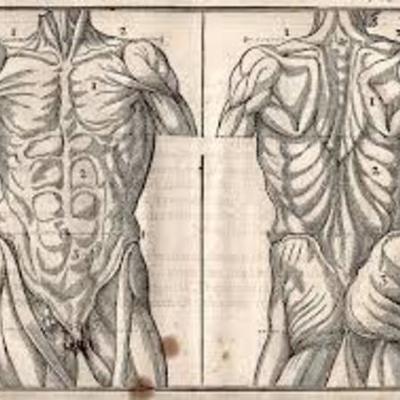 Timeline: Historical Figures Interactive Timeline