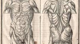 Timeline: Historical Figures Interactive Timeline