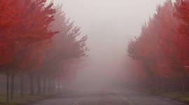 Timeline: Aspectos positivos y negativos de mi vida Miguel Murcia