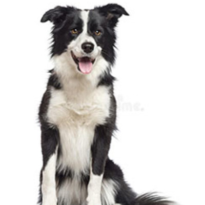 Timeline: EVOLUCIÓN DE LOS DISPOSITIVOS