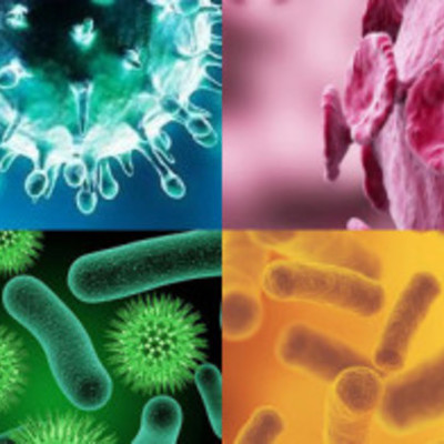 Timeline: Infectología