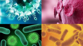 Timeline: Infectología