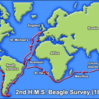 Timeline: Beagles Voyage