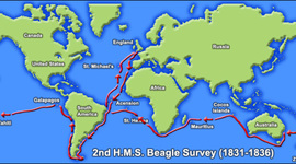 Timeline: Beagles Voyage