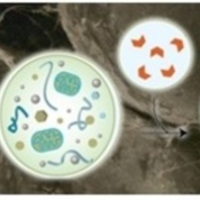 Timeline: LA BIOLOGÍA Y SUS CONCEPCIONES DEL FENÓMENO BIOLÓGICO