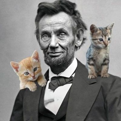 Timeline: Jimmy James' Timetoast for APUSH