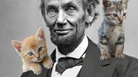 Timeline: Jimmy James' Timetoast for APUSH