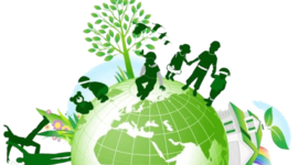 Timeline: ANTECEDENTES POLÍTICA AMBIENTAL