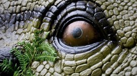 Timeline: Geokronoloogiline skaala SAAREP