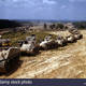Line of m4 sherman tanks fort knox kentucky usa june 1942 in excess d98n65