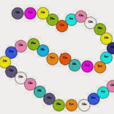 Timeline: Linea de tiempo