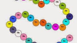 Timeline: Linea de tiempo