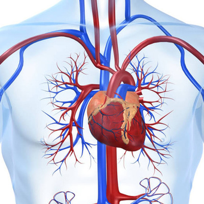 Timeline: Cardiología Intervencionista