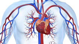 Timeline: Cardiología Intervencionista