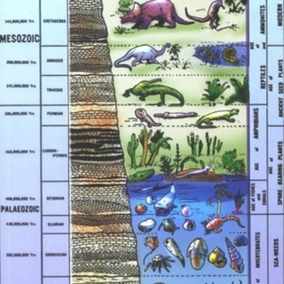 Timeline: Geokronoloogiline skaala Kadri Ann