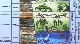 Timeline: Geokronoloogiline skaala Kadri Ann