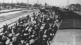 Timeline: English II semester project