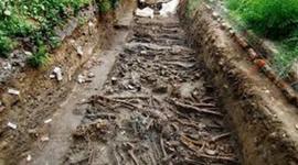 Timeline: Block 8 Eickelman Logan