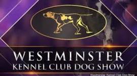 Timeline: Westminster Dog Show Winners
