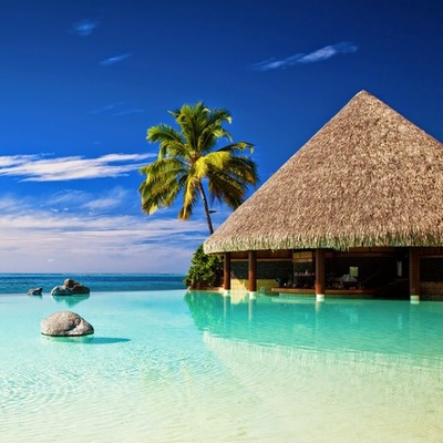 Timeline: transporte a la naturaleza