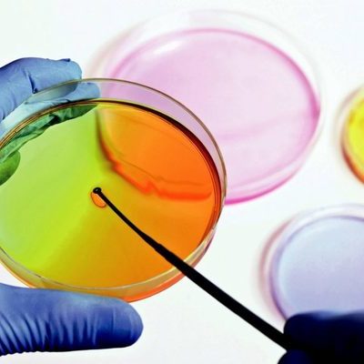 Timeline: Microbiology timeline