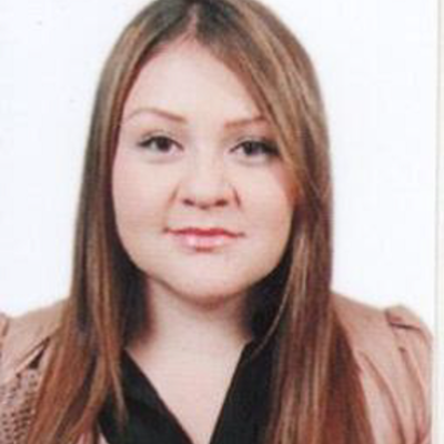 Timeline: Desarrollo evolutivo