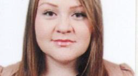 Timeline: Desarrollo evolutivo