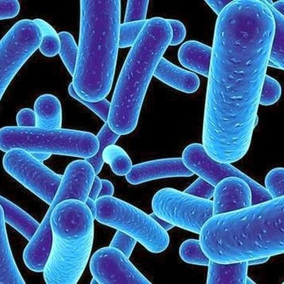 Timeline: MICROBIOLOGIA: VIAJE EN LOS TIEMPOS.