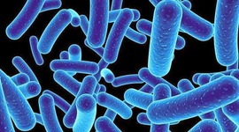 Timeline: MICROBIOLOGIA: VIAJE EN LOS TIEMPOS.