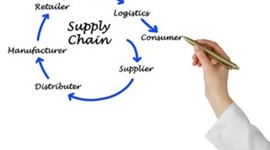 Timeline: Supply Chain