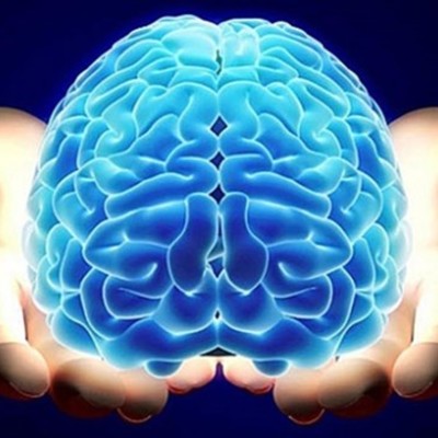 Timeline: EVOLUCION DE EL CEREBRO