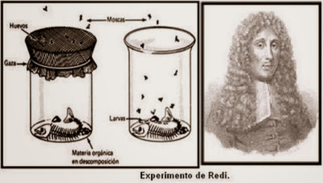 HISTORIA DE LA MICROBIOLOGÍA por: Esther Millán. timeline | Timetoast
