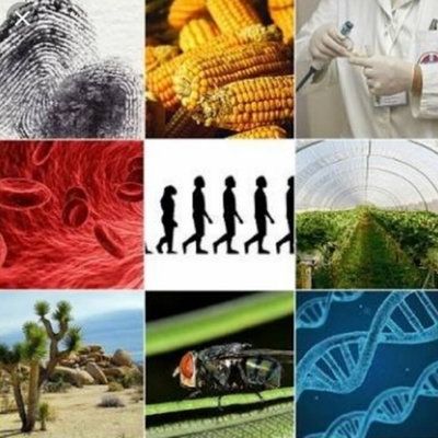 Timeline: Cientificos  que realizaron destacadas contribuciones a las ciencias biológicas en la etapa contemporánea