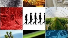 Timeline: Cientificos  que realizaron destacadas contribuciones a las ciencias biológicas en la etapa contemporánea