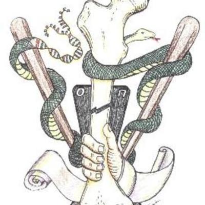 Timeline: HISTORIA DE LA ORTOPEDIA