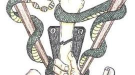 Timeline: HISTORIA DE LA ORTOPEDIA