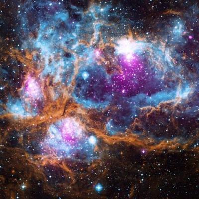 Timeline: Evolución de la vida