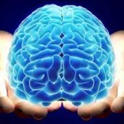 Timeline: Evolución Del Cráneo Cerebral