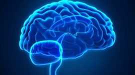 Timeline: Línea de tiempo del CEREBRO